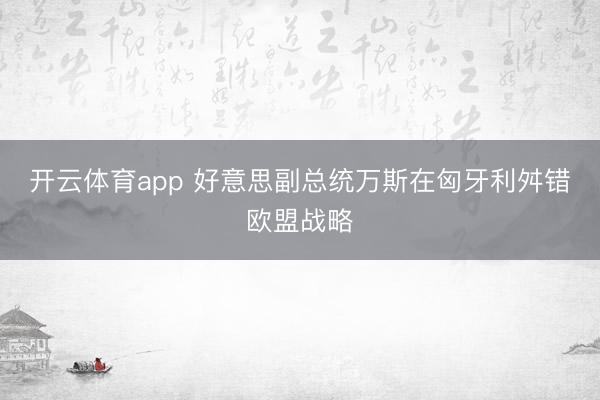 开云体育app 好意思副总统万斯在匈牙利舛错欧盟战略